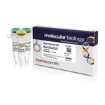 Thermo Fisher Scientific MreI (Sse232I) (10 U/μL)