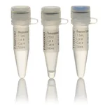 Thermo Fisher Scientific ThermoPrime Taq DNA Polymerase, with 10X buffer and separate vial of 25 mM MgCl2