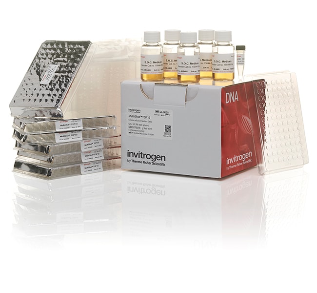 Thermo Fisher Scientific MultiShot TOP10 Chemically Competent E. coli