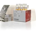 Thermo Fisher Scientific MultiShot TOP10 Chemically Competent E. coli