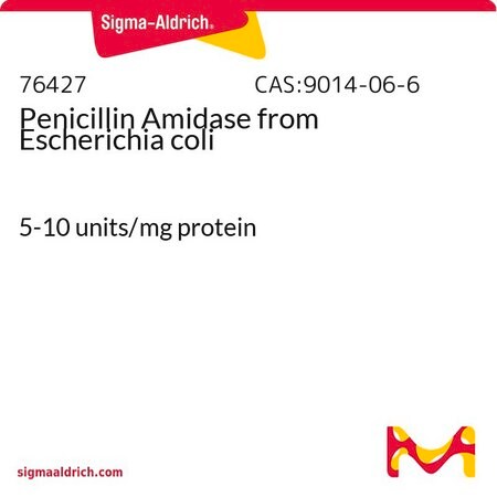 Merck Penicillin Amidase from Escherichia coli