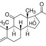 Merck Cortisone