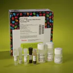 Thermo Fisher Scientific Pierce Magnetic RNA-Protein Pull-Down Kit