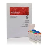 Thermo Fisher Scientific Amplex Acetylcholine/Acetlycholinesterase Assay Kit