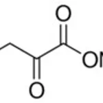 Merck alpha-Ketoglutaric acid disodium salt di