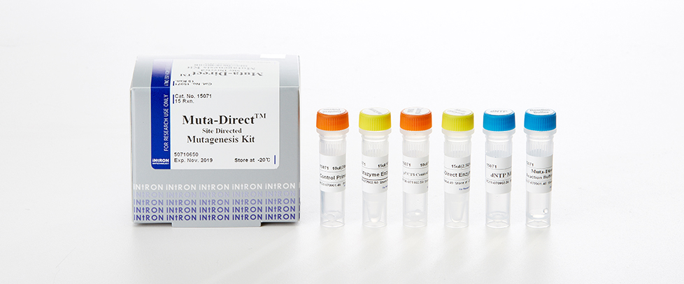 Intron Muta-Direct™ Site Directed Mutagenesis Kit
