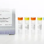 Intron Muta-Direct™ Site Directed Mutagenesis Kit