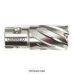 Daihan Science 하이스 브로치 커터, HSS Broach Cutter
