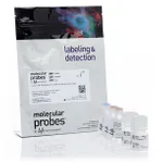Thermo Fisher Scientific Click-iT Plus Alexa Fluor 647 Picolyl Azide Toolkit