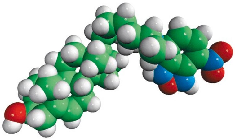 Merck 25-NBD Cholesterol