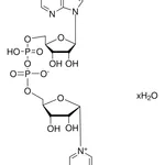 Merck B-NICOTINAMIDE ADENINE DINUCLEOTIDE