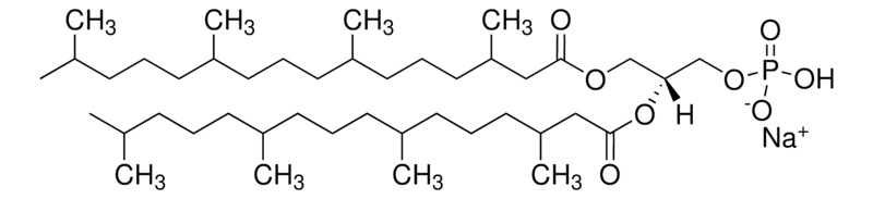 Merck 4ME 16:0 PA