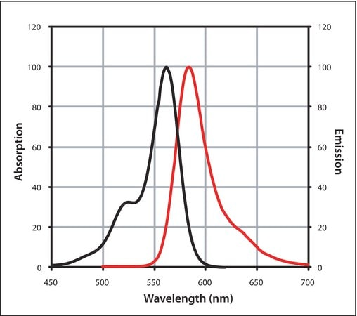 Merck Anti-Goat IgG (H+L), highly cross-adsorbed, CF(TM) 568 antibody produced in donkey