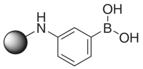 Merck M-AMINOPHENYLBORONIC ACID AGAROSE