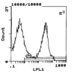 Thermo Fisher Scientific Mouse anti-Rat Kappa Light Chain Secondary Antibody