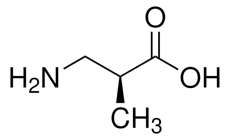 Merck L-3-Aminoisobutyric acid