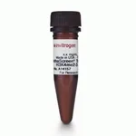 Thermo Fisher Scientific LanthaScreen Tb-anti-Histone H3K4me3 Antibody, 100 ug