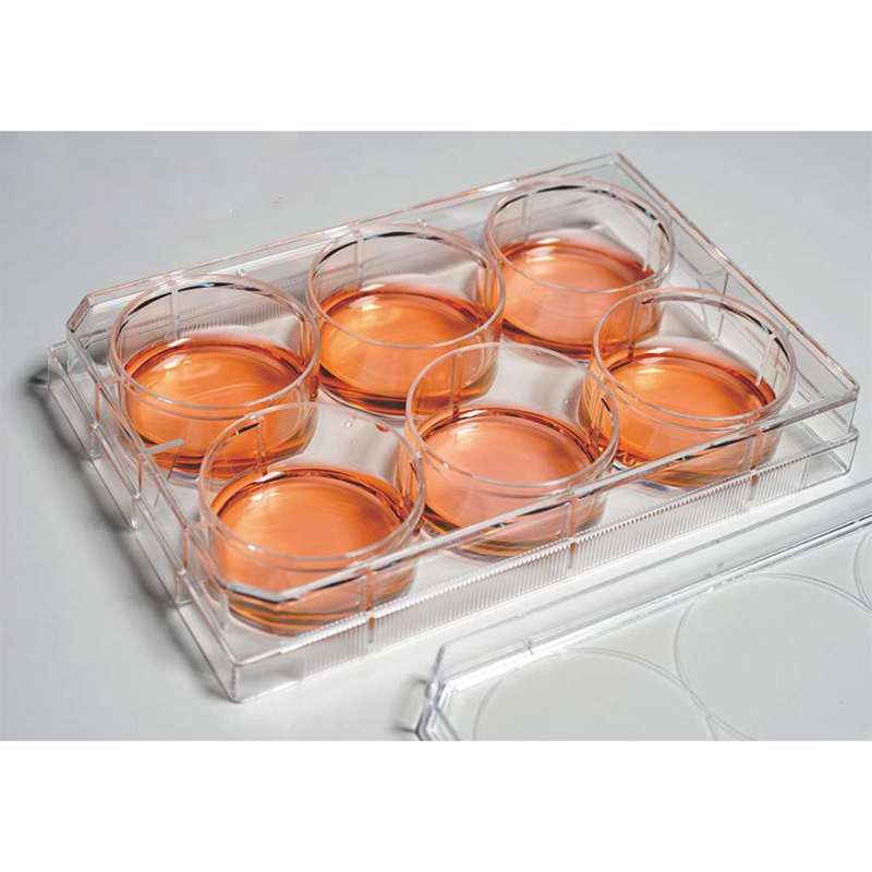 Lklab Korea Cell Culture Plate / 셀 컬쳐 플레이트