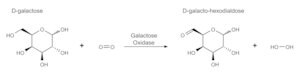 Merck GALACTOSE OXIDASE CRUDE