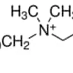 Merck N-DODECYL-N,N-DIMETHYL-3-AMMONIO-1-PROP&