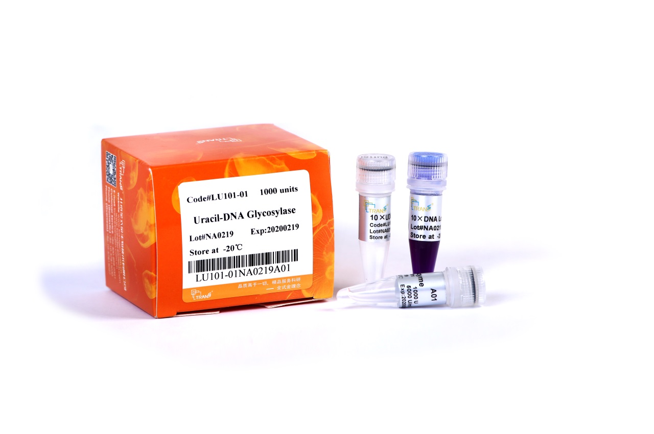 Uracil-DNA Glycosylase