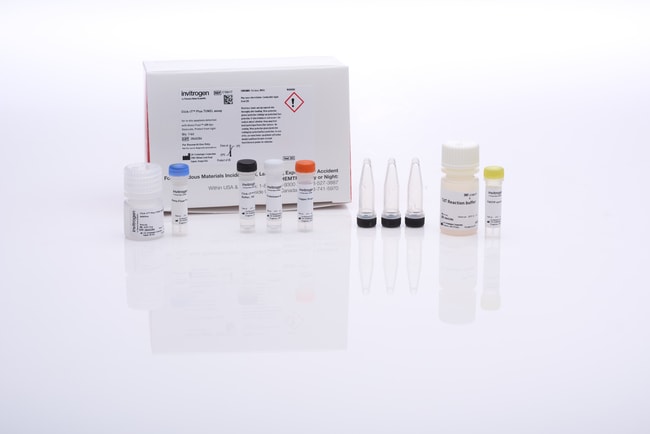 Thermo Fisher Scientific Click-iT Plus TUNEL Assay Kits for In Situ Apoptosis Detection, 1 kit