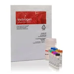 Thermo Fisher Scientific Amplex Red Glutamic Acid/Glutamate Oxidase Assay Kit