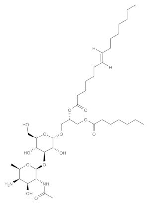 Merck LIPOTEICHOIC ACID FROM STAPHYLOCOCCUS A&