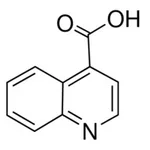 Merck 4-QUINOLINECARBOXYLIC ACID, 97%