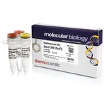 Thermo Fisher Scientific Bme1390I (ScrFI) (10 U/μL), 500 units