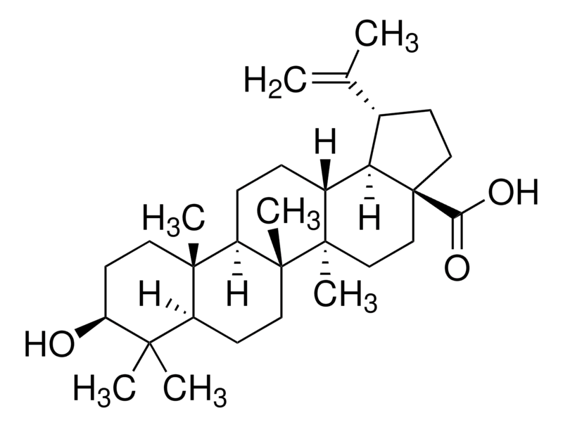 Merck Betulinic acid