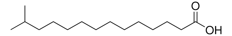 Merck Iso 15:0 Fatty Acid