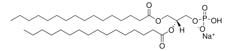 Merck 16:0 PA