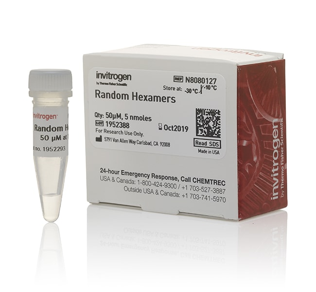 Thermo Fisher Scientific Random Hexamers (50 &mu;M)