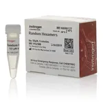 Thermo Fisher Scientific Random Hexamers (50 μM)