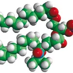 Merck 16:0-5 Doxyl PC