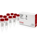 Thermo Fisher Scientific Yeast RNA (10 mg/mL)