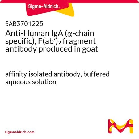 Merck Anti-Human IgA (alpha-chain specific), F(ab')2 fragment antibody produced in goat