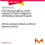 Merck Anti-Human IgA (alpha-chain specific), F(ab')2 fragment antibody produced in goat
