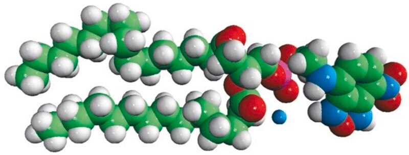 Merck 16:0 NBD PE