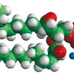 Merck 16:0 NBD PE