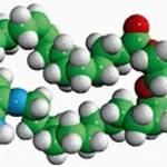 Merck 18:1-12:0 NBD PE