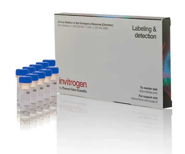 Thermo Fisher Scientific Fluo-4FF, AM, cell permeant - Special Packaging