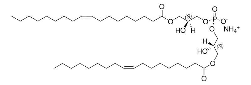 Merck 18:1 BMP (S,S)