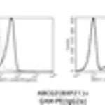 Thermo Fisher Scientific Goat anti-Mouse IgG2a Cross-Adsorbed Secondary Antibody, PE