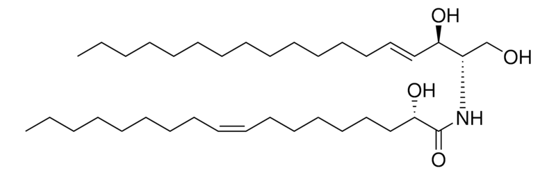 Merck 18:1(2S-OH) Ceramide