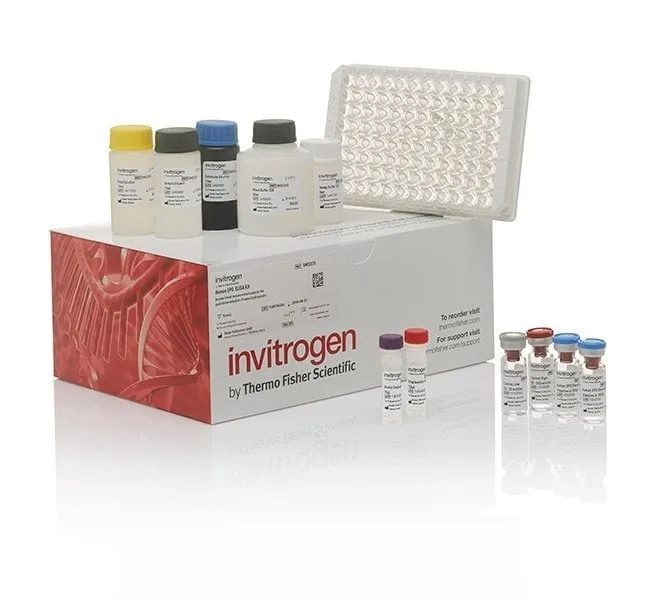 Thermo Fisher Scientific Human Cathepsin S/CTSS ELISA Kit