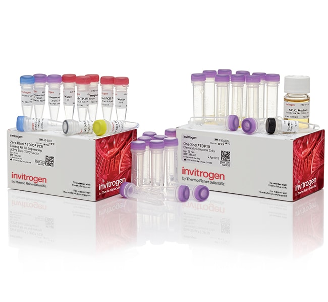 Thermo Fisher Scientific Zero Blunt TOPO PCR Cloning Kit for Sequencing, with One Shot TOP10 Chemically Competent E. coli, 25 Reactions