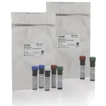 Thermo Fisher Scientific eBioscience Essential Human T-Cell Phenotyping Kit