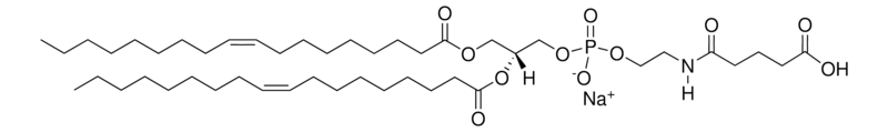 Merck 18:1 Glutaryl PE